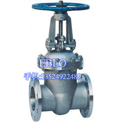 上海依博羅楔式閘閥