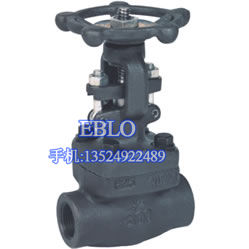 上海依博羅鍛鋼閘閥