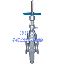 上海依博羅平板閘閥