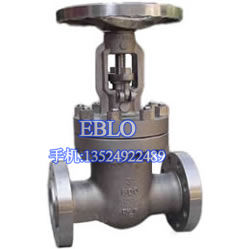 上海依博羅蒙乃爾合金閘閥