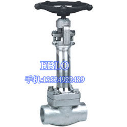 上海依博羅DZ11H、DZ11Y 型 150(Lb)~800(Lb) 鍛鋼低溫閘閥