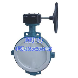 上海依博羅對夾襯氟蝶閥