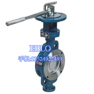 上海依博羅D373H對(duì)夾式多層次硬密封蝶閥
