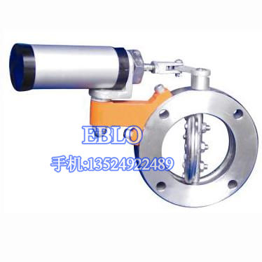 上海依博羅GIQ真空蝶閥