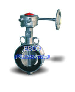 上海依博羅全不銹鋼齒輪式對夾蝶閥