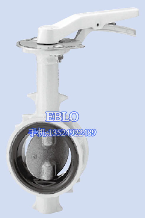 日本北澤EXS200-16XJME手動(dòng)蝶閥