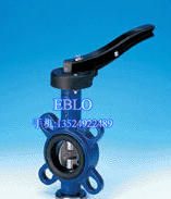 德國(guó)ARI軟密封閘閥